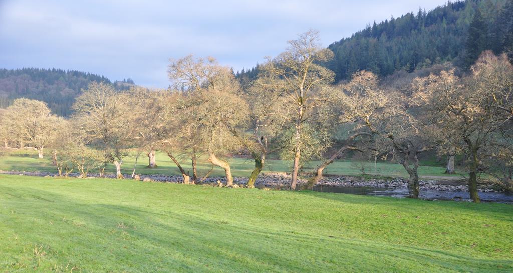 Dragon Bed And Breakfast Betws-y-Coed Εξωτερικό φωτογραφία